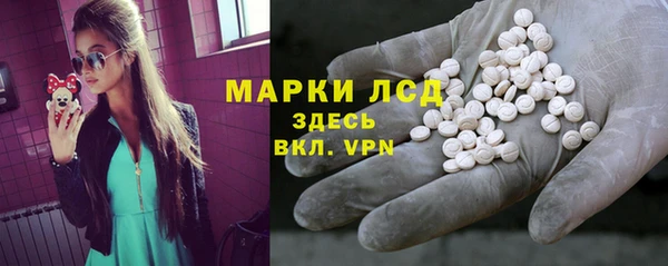 прущие грибы Карталы