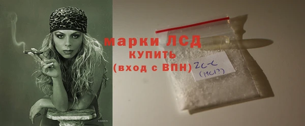 прущие грибы Карталы