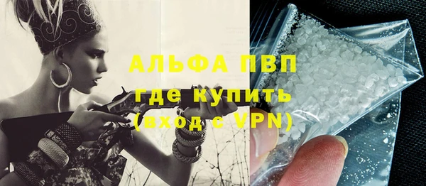 прущие грибы Карталы