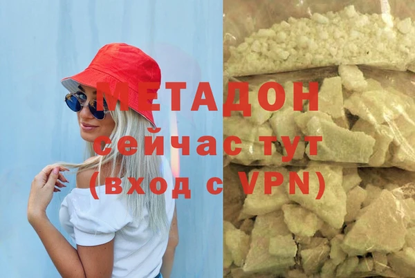 прущие грибы Карталы