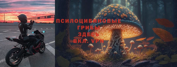 прущие грибы Карталы