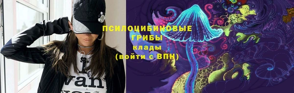 прущие грибы Карталы