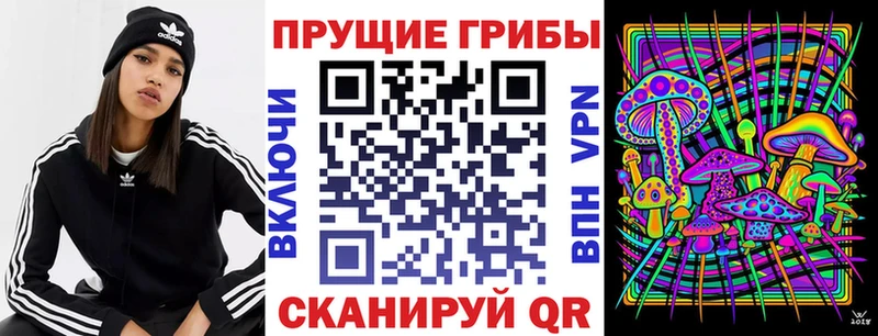 Галлюциногенные грибы Cubensis  KRAKEN ССЫЛКА  Питкяранта 